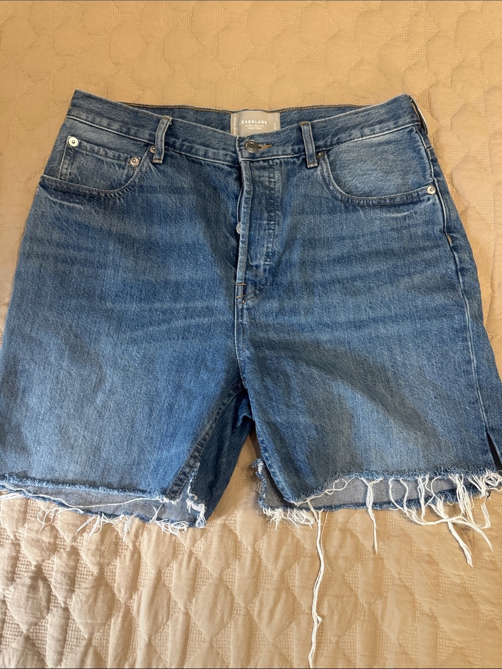 Everlane Classic 90s Cheeky Blue Raw-Hem Denim Cut Offs Size 30 Tall